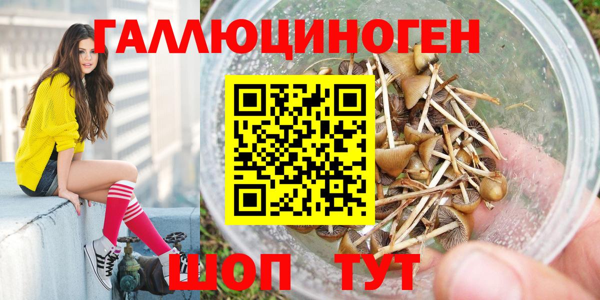 Псилоцибиновые грибы MAGIC MUSHROOMS  Вход с VPN  Белгород 